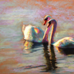 Swans by Kim Werfel